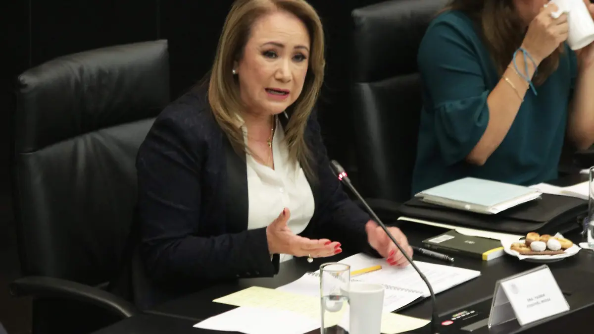 Yasmin Esquivel Mossa-Esposa de Rioboo-Ministra-Senado (30)